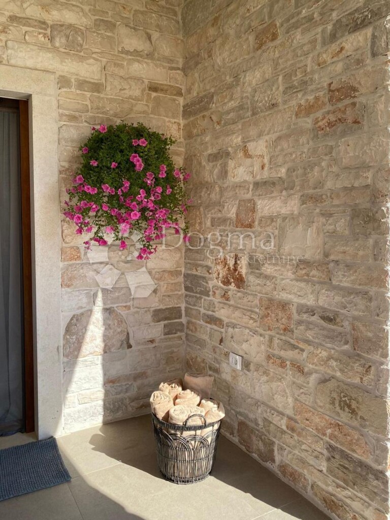 Image 16