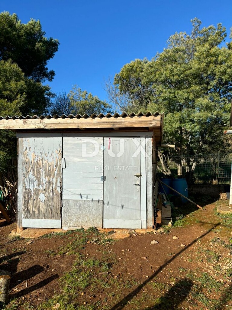 Image 10