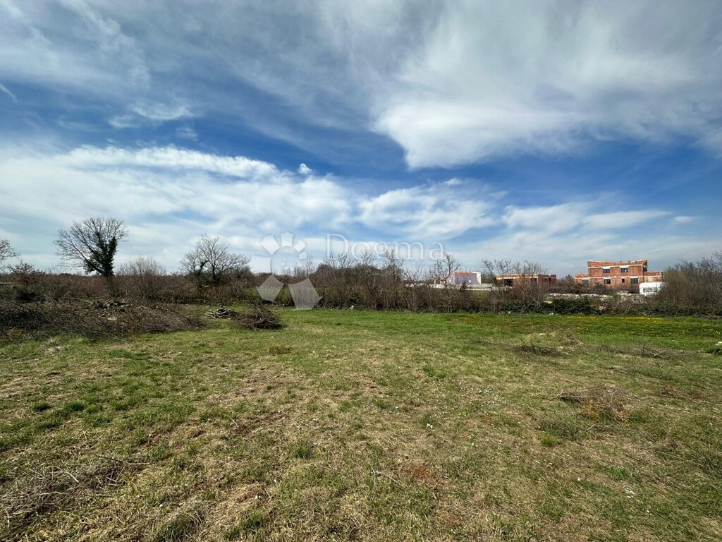 Image 15