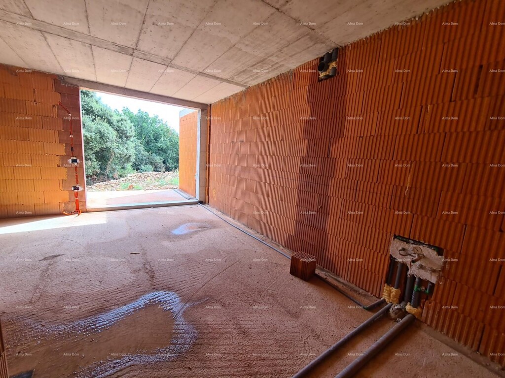Image 13