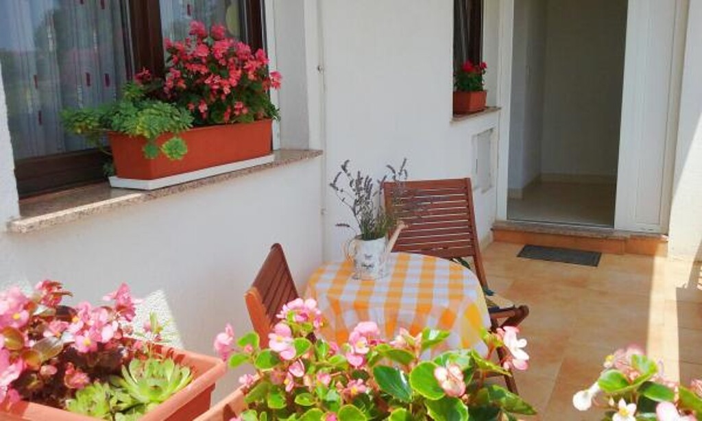 Image 3812351 - 2