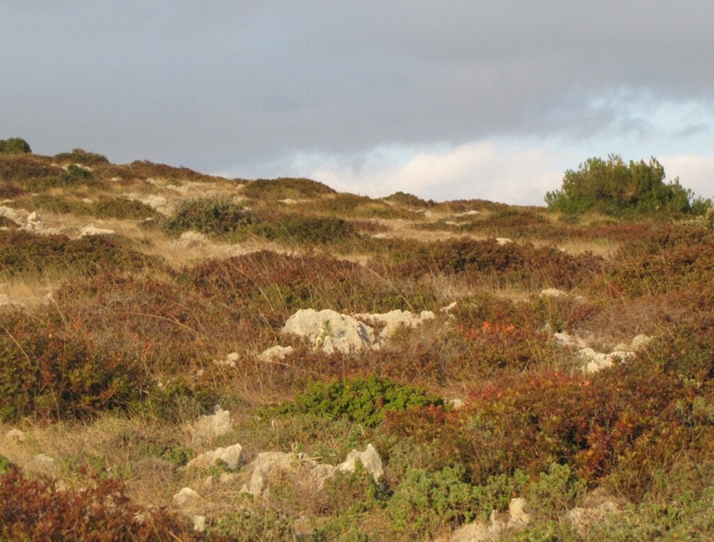 Image 4346590 - 5