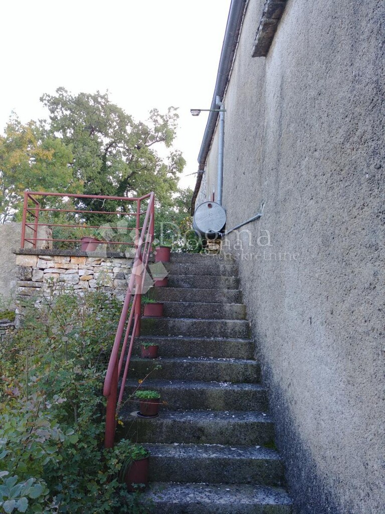 Image 16