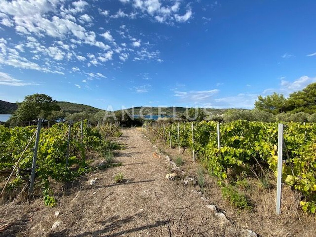 Image 6208777 - 10