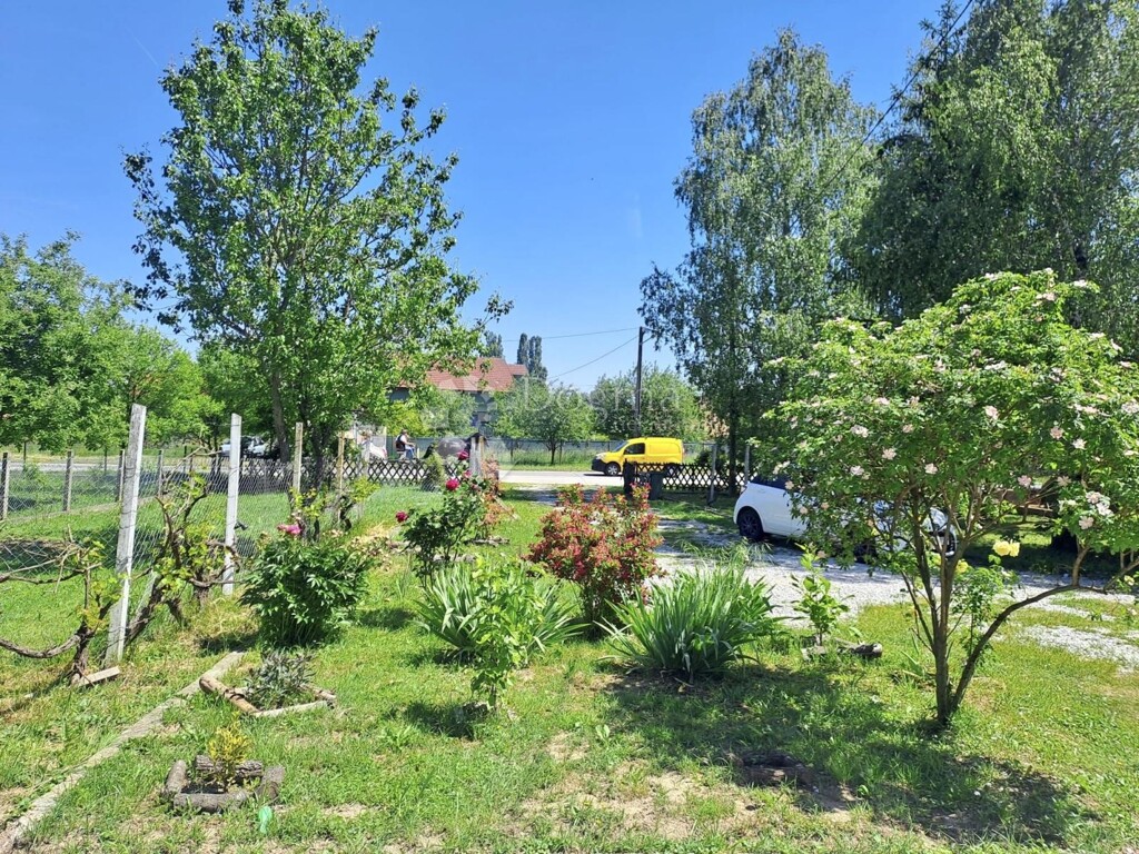 Image 13