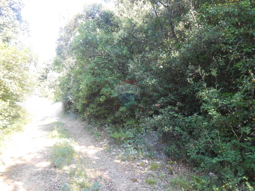 Image 5430597 - 2