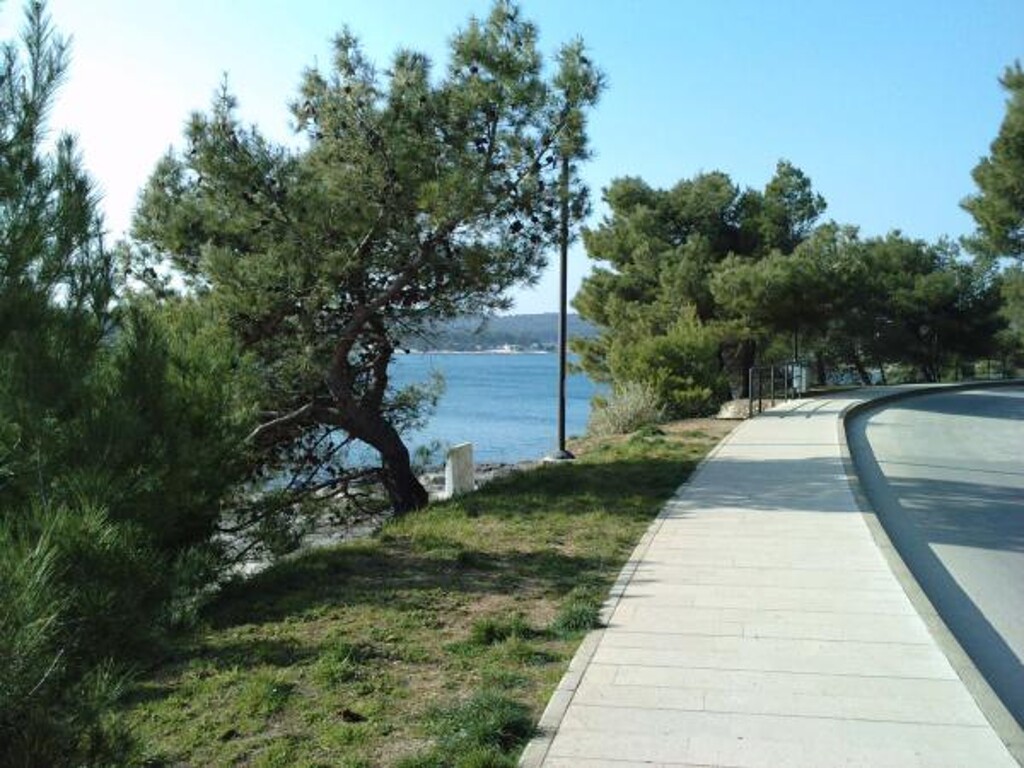Image 3810857 - 6