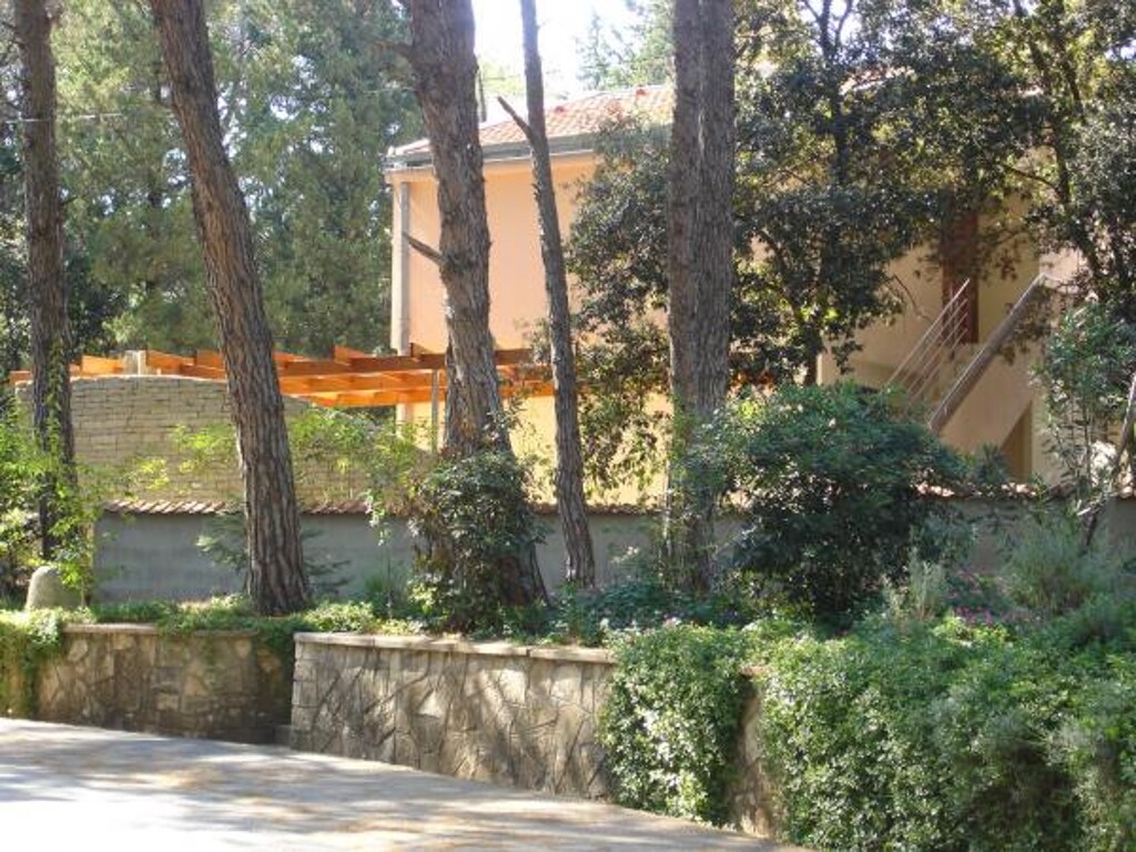 Image 3838495 - 2