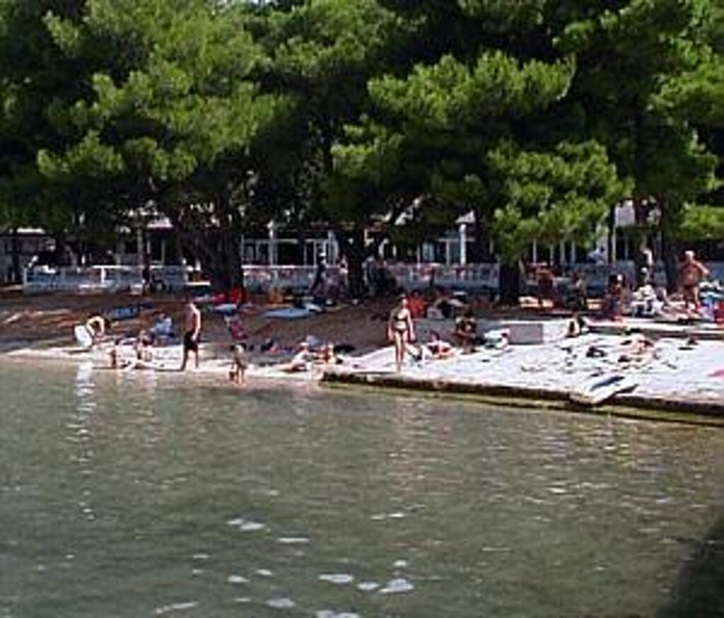 Image 3814311 - 8