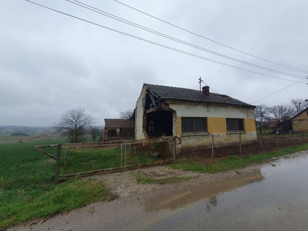Image 14