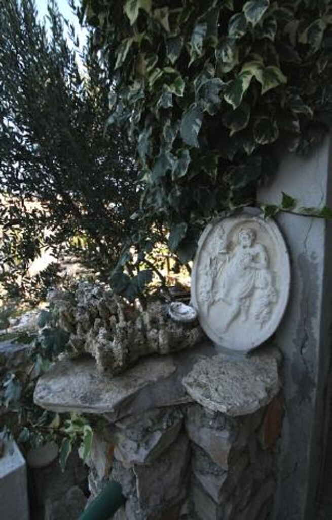 Image 14