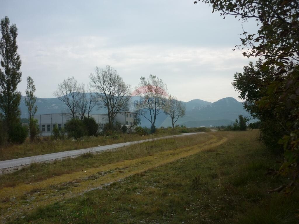 Image 5410964 - 3