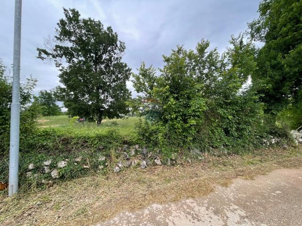 Image 14
