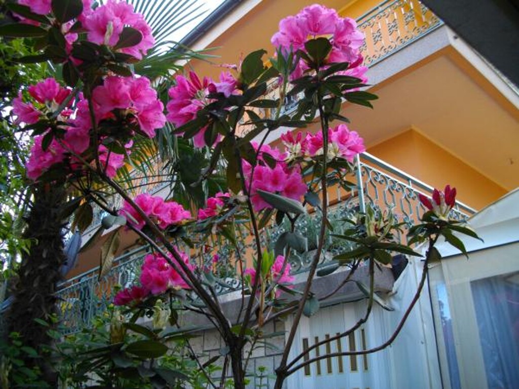 Image 3812579 - 10