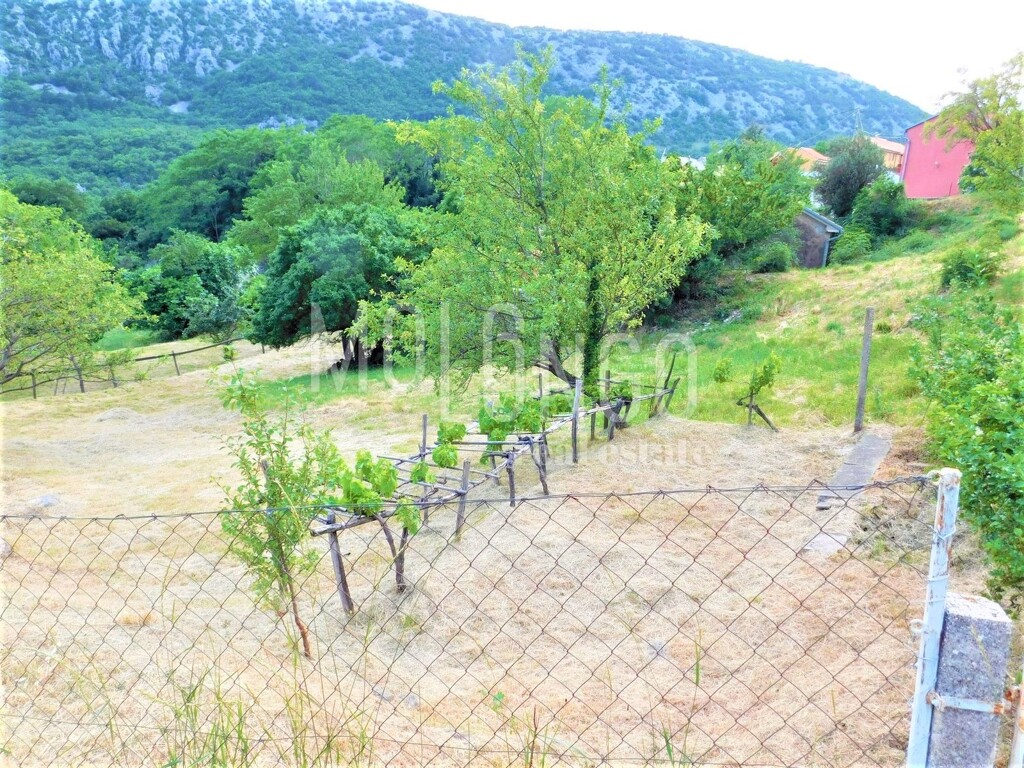 Image 25