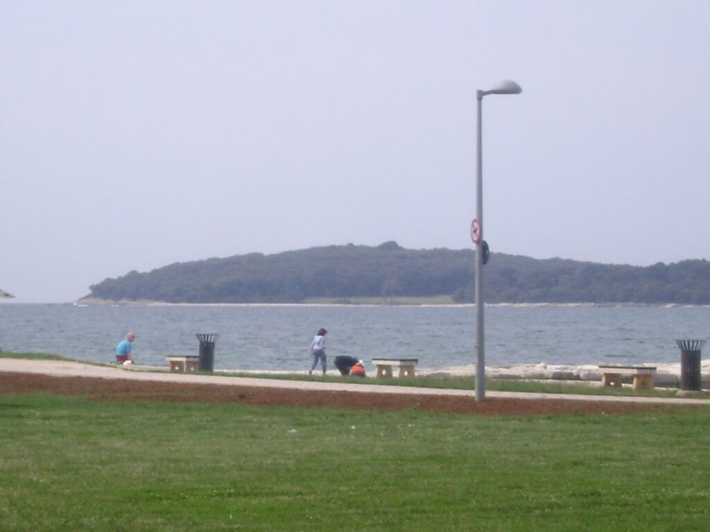 Image 3812177 - 7