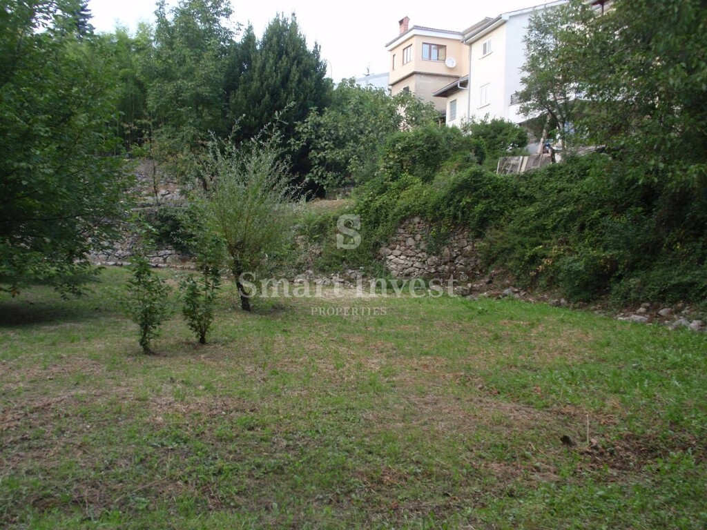 Image 15