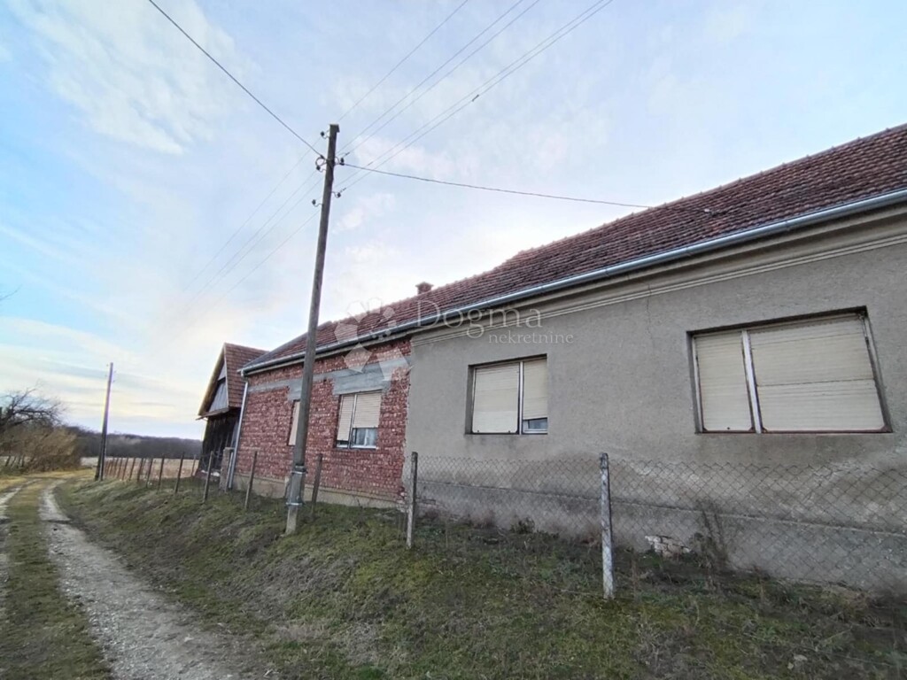 Image 14