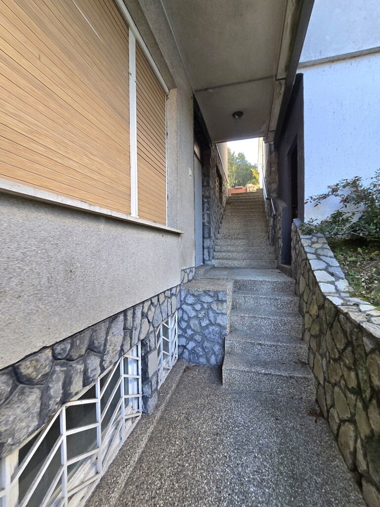 Image 13