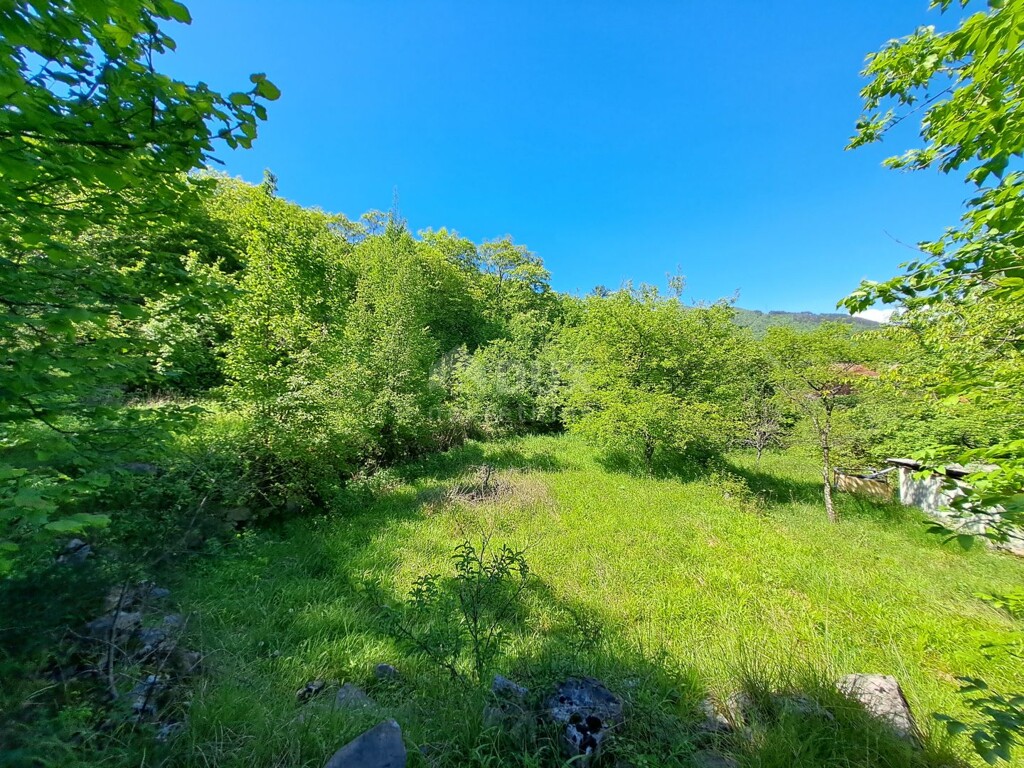 Image 9