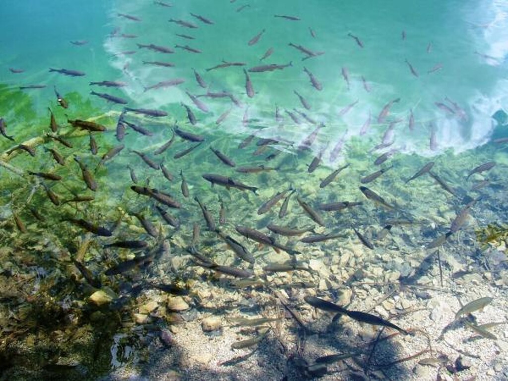 Image 3810555 - 18