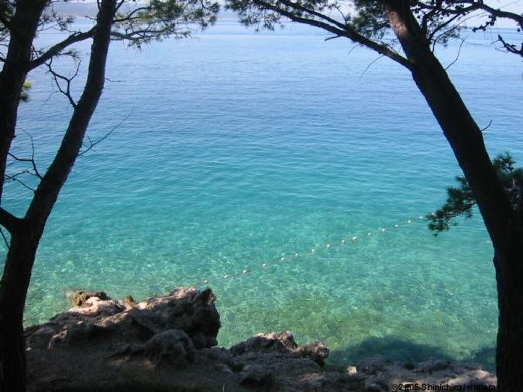 Image 11