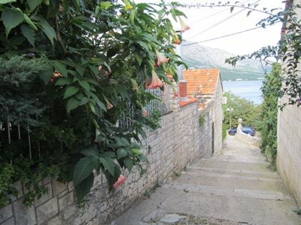 Image 3838601 - 29