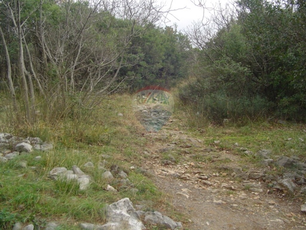 Image 5411107 - 4