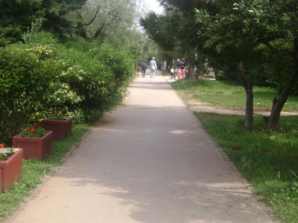 Image 3812177 - 8