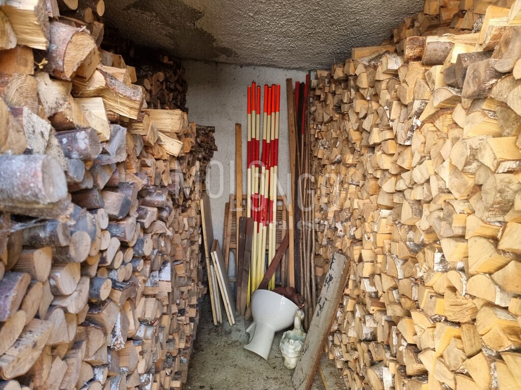 Image 22