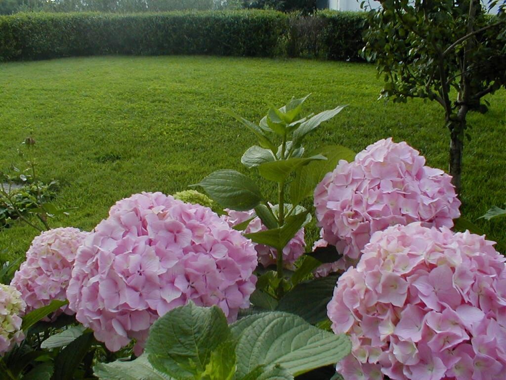 Image 4405525 - 12