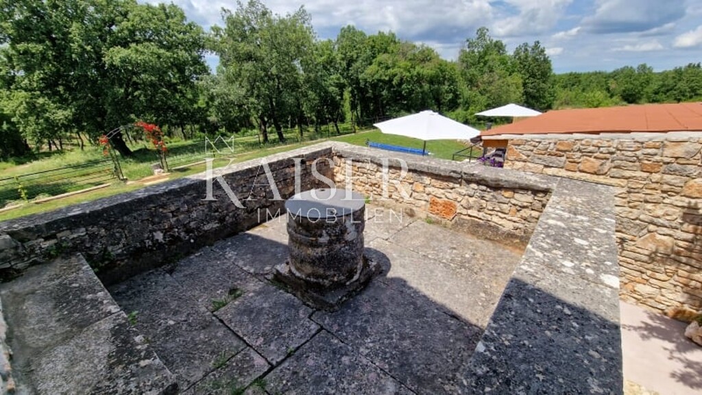 Image 6102494 - 17