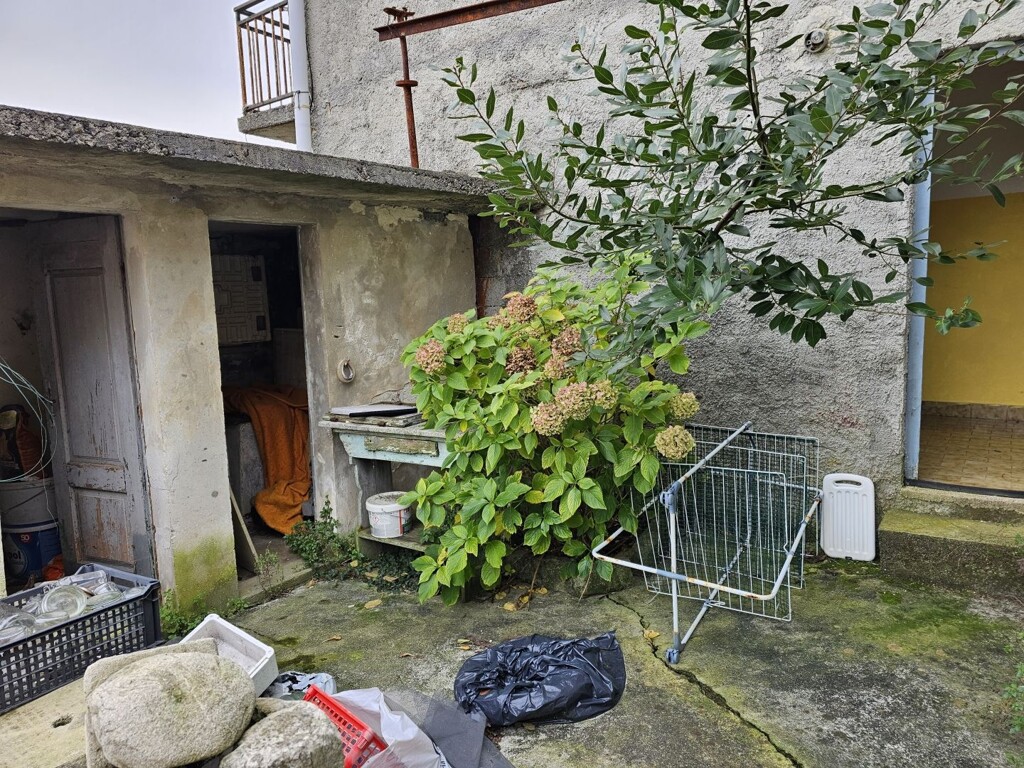Image 16