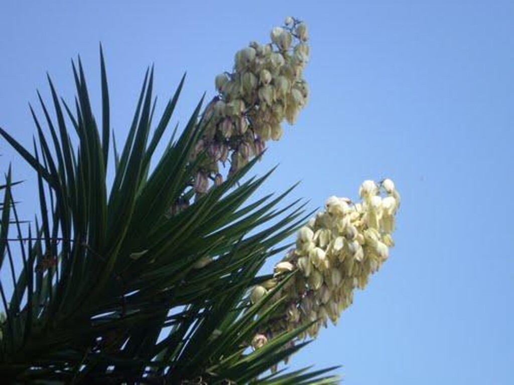 Image 3814595 - 7
