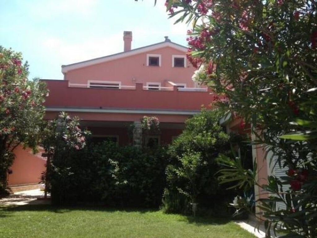 Image 3838782 - 5