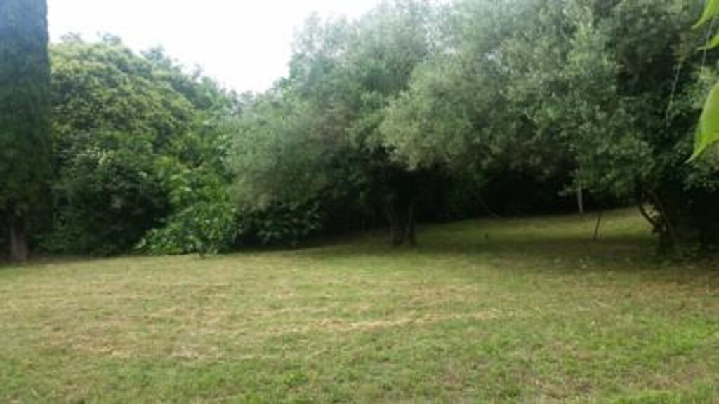 Image 3812834 - 7