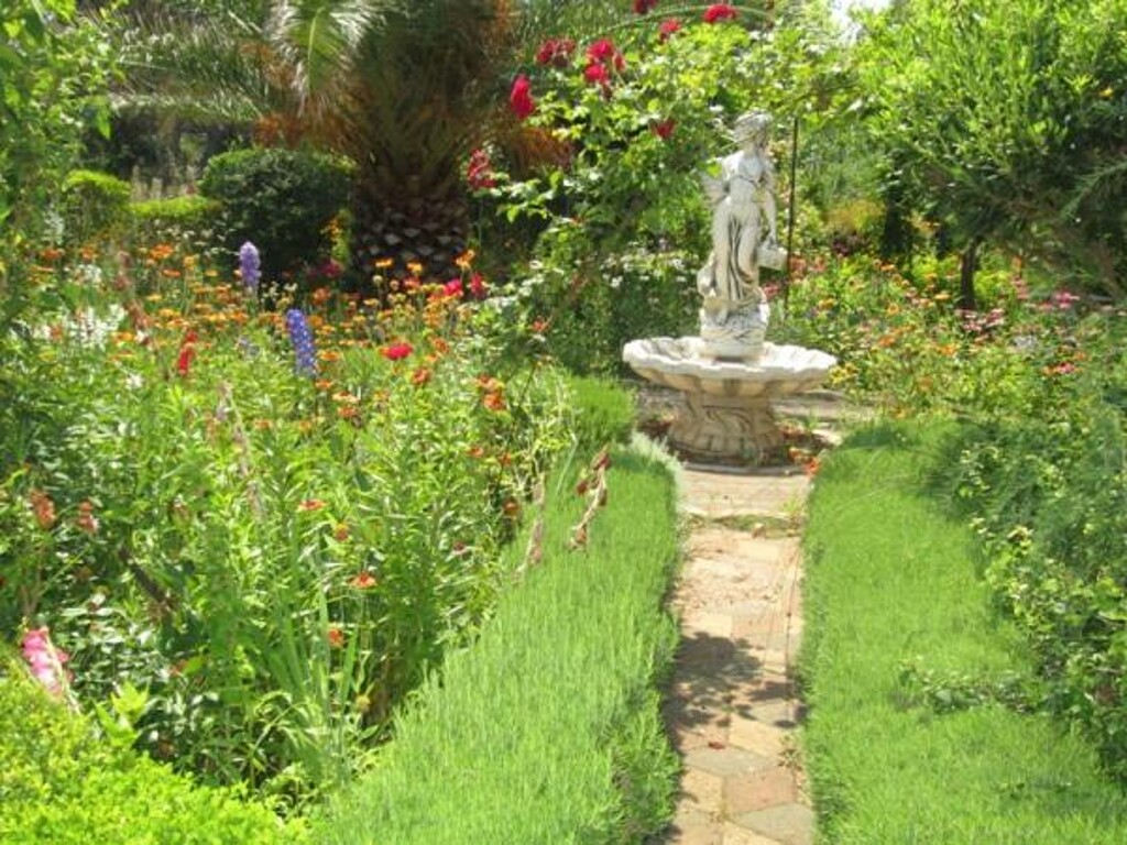 Image 11