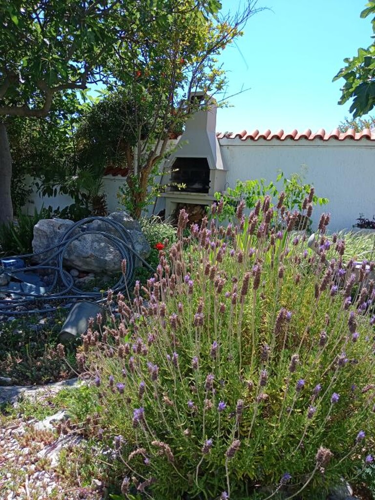 Image 32