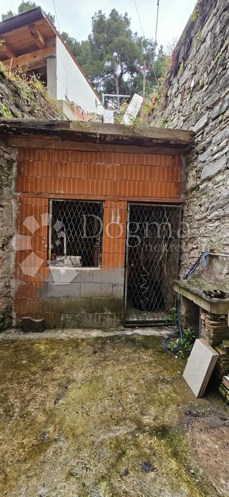 Image 14
