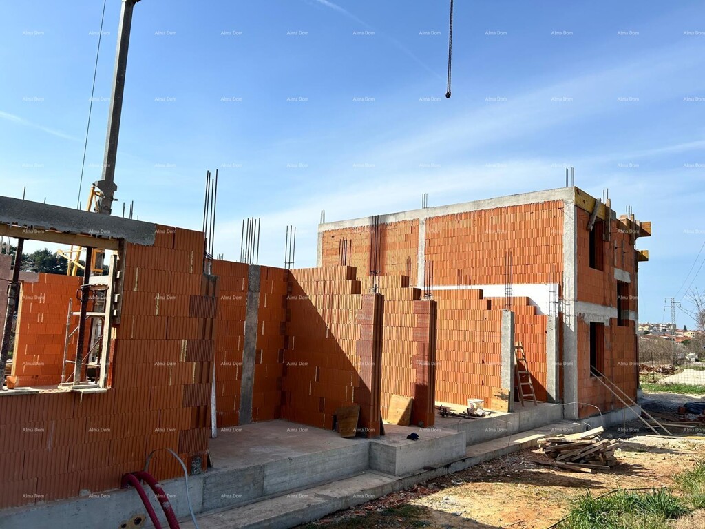 Image 15