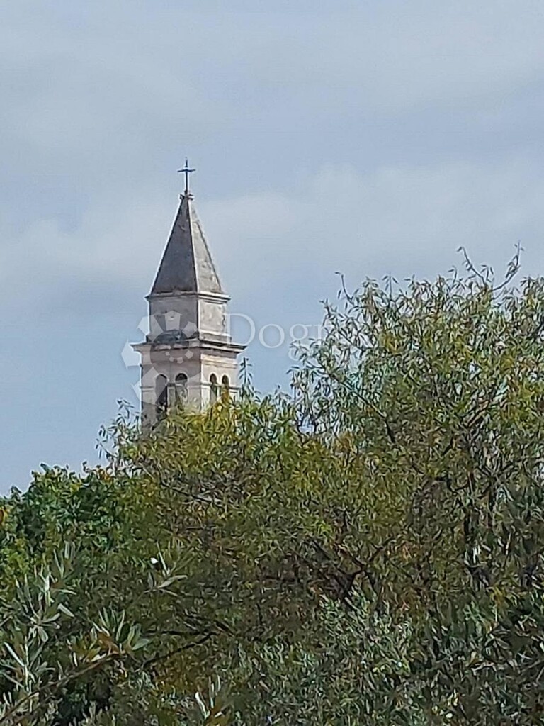 Image 16
