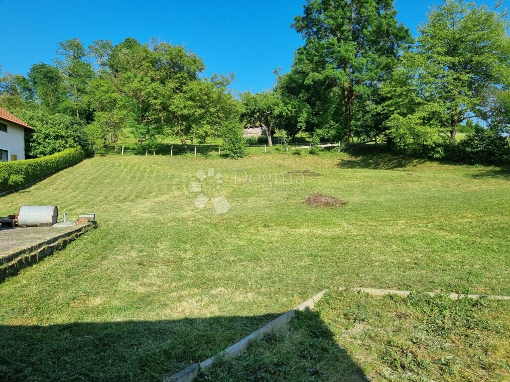 Image 23