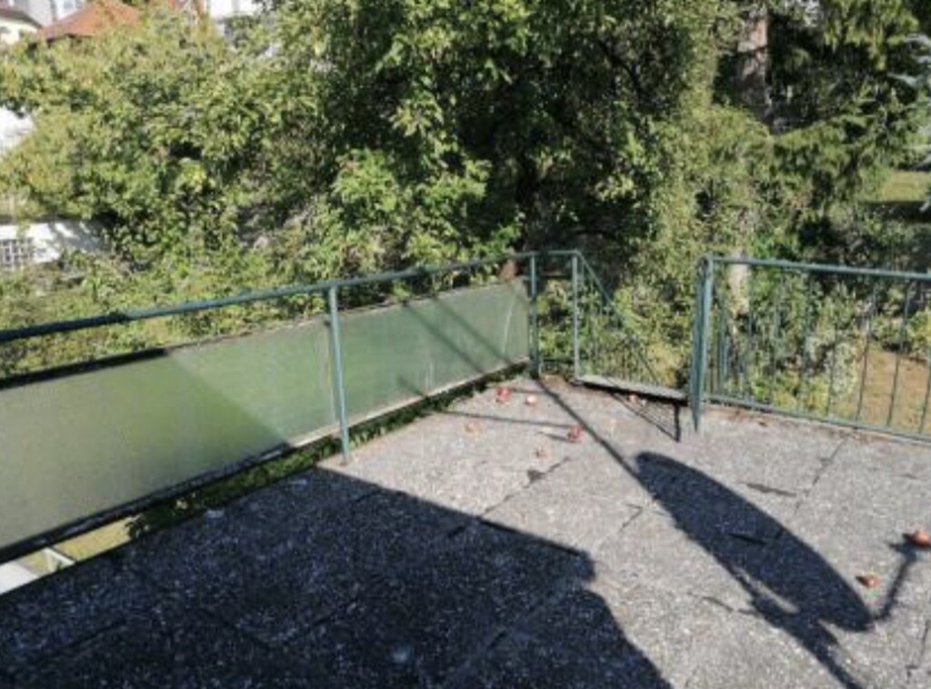 Image 15