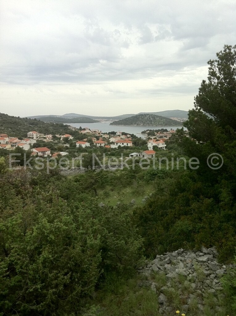 Image 3667477 - 1