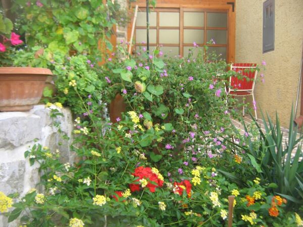 Image 3810665 - 29