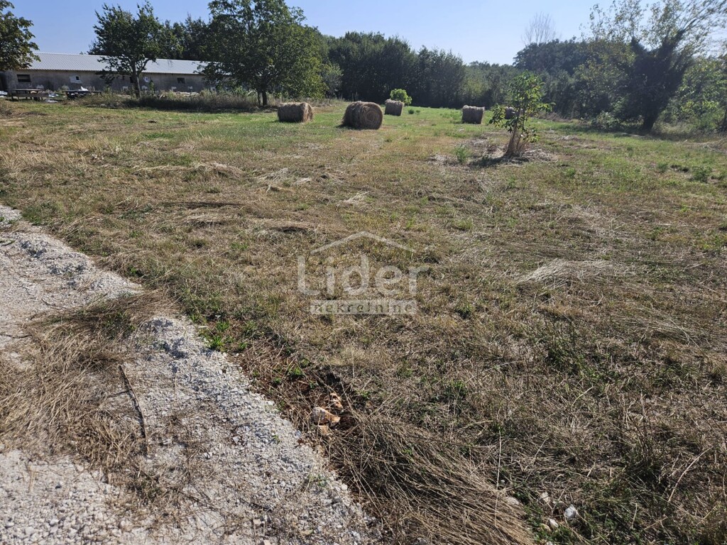 Image 9