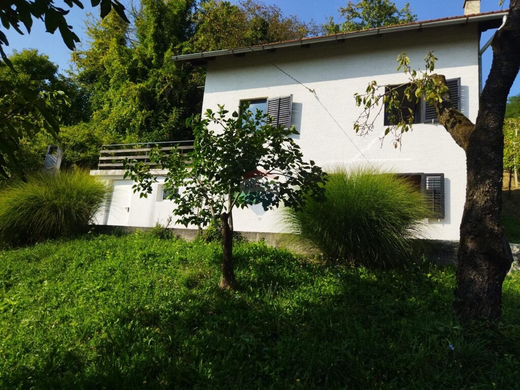 Image 19