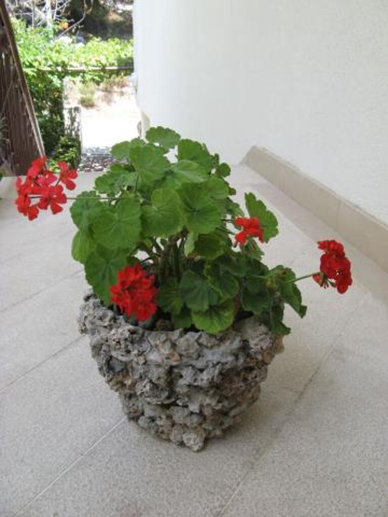 Image 3838664 - 8