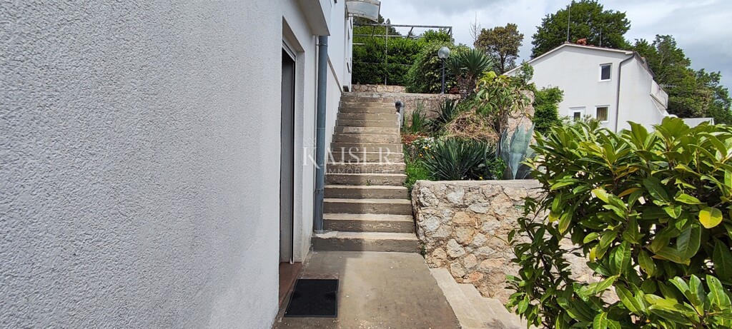 Image 13