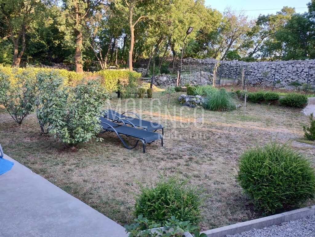 Image 13